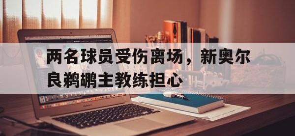 188体育在线-两名球员受伤离场，新奥尔良鹈鹕主教练担心